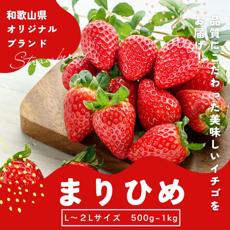 【ふるさと納税】 【先行予約】 まりひめ いちご 12粒～15粒入り 【選べる容量】500g 1kg2026年1月中旬～2026年3月中旬頃に順次発送予定（お届け日指定不可）/ 苺 和歌山 フルーツ 果物 くだもの
