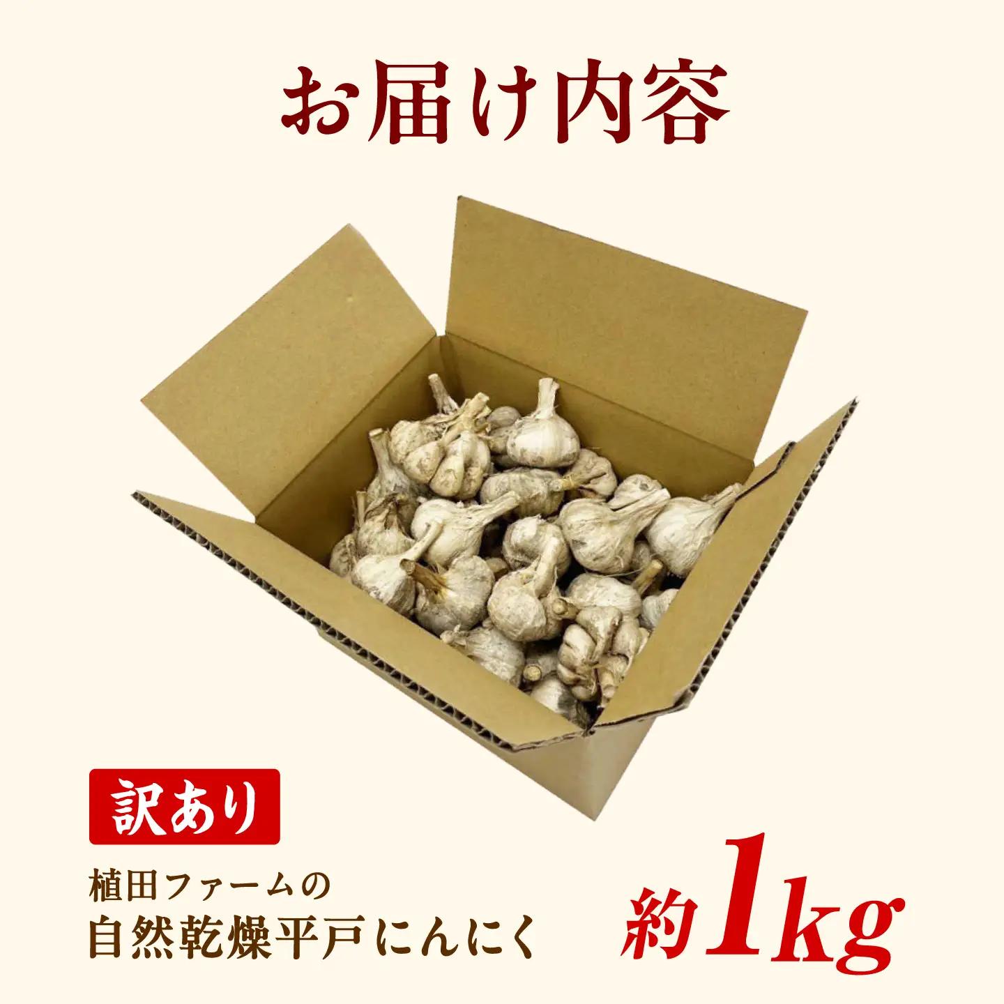 訳あり 平戸にんにく 約1kg 〈2026年6月10日〜2026年10月31日〉高知県 土佐市【株式会社 植田ファーム】[BQAT006]