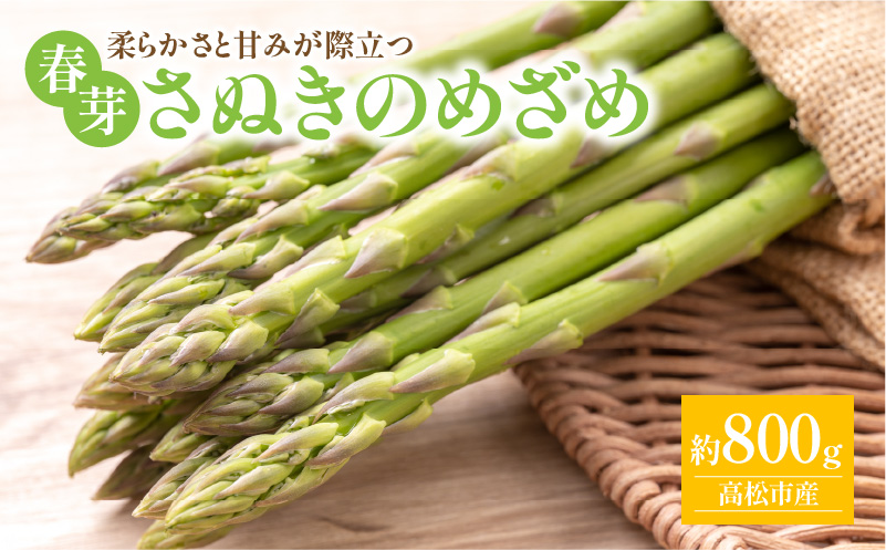 柔らかさと甘みが際立つ さぬきのめざめ春芽 約800g【2025-1月下旬～2025-2月下旬配送】