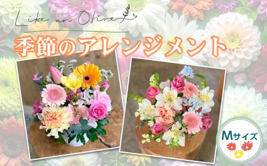 【ふるさと納税】季節のアレンジメント【M】【フラワーアレンジメント アレンジメント 季節の花 生花 花 植物 ブーケ ギフト プレゼント インテリア お楽しみ 】