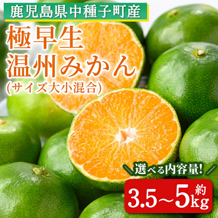 【ふるさと納税】【数量限定】内容量が選べる！＜先行予約受付中！2025年9月上旬～10月下旬頃に順次発送予定＞鹿児島県種子島産！極早生温州みかん(約3.5～5kg) 国産 蜜柑 ミカン 柑橘 サイズ大小混合 果物 フルーツ くだもの 旬 【提果樹園】