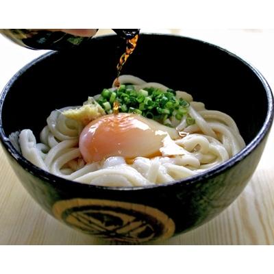 ふるさと納税 観音寺市 讃岐うどん　つゆ付(10人前) |  | 02