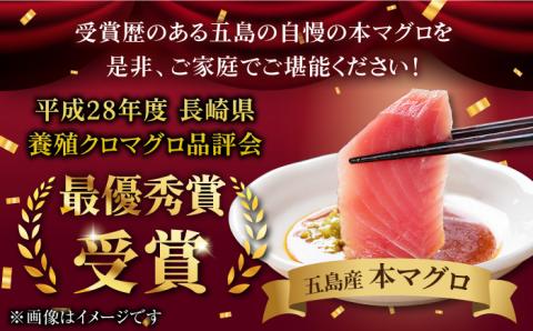 【全12回定期便】本マグロ (養殖) ブロック 詰合せ 計12kg (1kg×12回) 刺身 養殖 鮪 まぐろ クロマグロ 中トロ 赤身 柵 刺身 寿司 真空パック 急速冷凍 【奥浦海鮮直売所】 [P