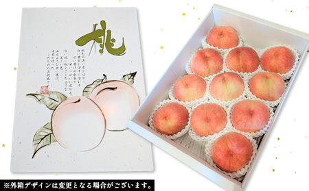 【訳あり】柔らかくなる 白桃 優品 晩成種 3kg (7個～14個)【令和8年産先行予約】FS25-146