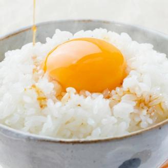 熊本県菊池産 ヒノヒカリ 5kg×6袋 計30kg 精米 お米 白米 《30日以内に出荷予定（土日祝除く）》---026-0521---
