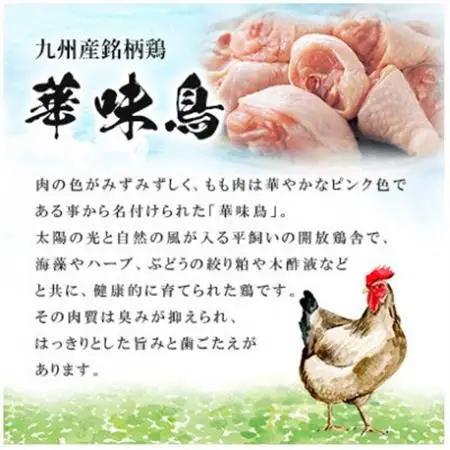 博多華味鳥 水たきセット 3～4人前 柚胡椒付(大牟田市)【配送不可地域：離島】【1642690】