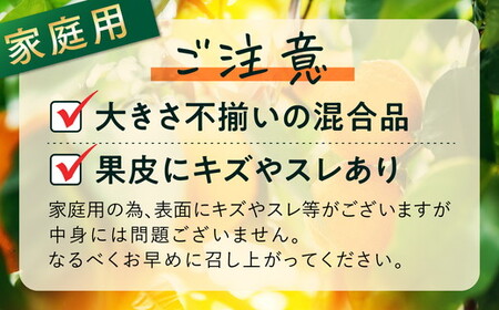 【先行予約】【家庭用】温州みかん 5kg ｜ 柑橘 みかん ミカン フルーツ 果物 愛媛　※離島への配送不可　※2024年11月下旬～12月上旬頃に順次発送予定