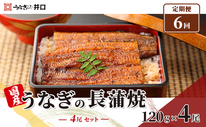 定期便6回【ITI優秀味覚賞受賞】「うなぎの井口」長蒲焼4尾セット【配送不可：離島】