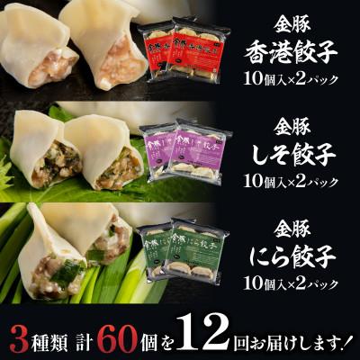 ふるさと納税 宮崎市 【毎月定期便】金豚餃子セット(香港・しそ・にら)1パック10個入×各2パック(計60個)全12回 |  | 01
