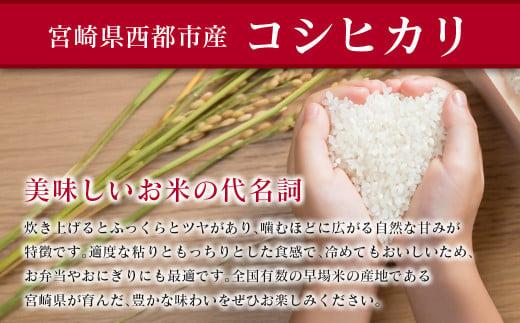 8月発送開始【5ヶ月定期便】 新米コシヒカリ無洗米 5kg×5 合計25kg 令和8年産 8月～12月発送 宮崎県西都市産＜18-24ｂ＞こしひかり 精米 白米 お米