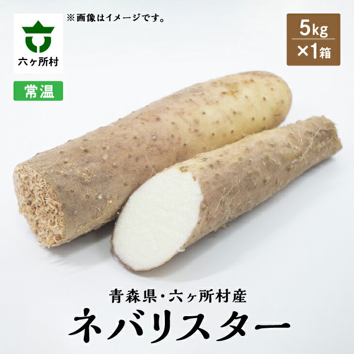 【ふるさと納税】《先行予約》2025年12月中旬〜出荷　青森県六ヶ所村産 ネバリスター 5kg とろろ 長芋 大和芋 旬 新鮮 グルメ お取り寄せ ギフト お中元 お歳暮 ふるさと 返礼品 六ヶ所村 青森 送料無料 【株式会社 石久保農産】