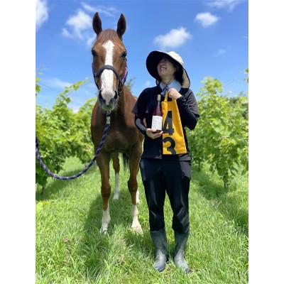 ふるさと納税 美浦村 美浦村産ブドウで醸造した赤ワイン1本　競走馬調教用ゼッケンのワインバッグ1枚(黒or緑or黄) |  | 03