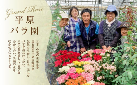 【定期便】薔薇のアレンジメント プレミアム 6ヶ月 6回お届け 花束 最上級 30本 (50cm) ブーケ 薔薇 ローズ 生花 観賞用 プレゼント 花 ギフト 誕生日 植物 フラワー 土壌栽培 産地直送 田原市 人気 切り花 切花