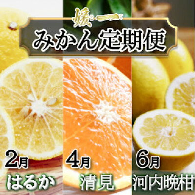 【ふるさと納税】【発送月固定定期便】愛媛が誇る旬の柑橘めぐり（はるか・清見・河内晩柑）【28-53】全3回 YWTN040