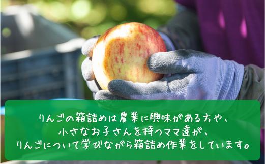 りんご 旬のりんご ＜ 定期便 ＞ 家庭用  訳あり 2kg × 3回 農家応援企画 【令和6年度収穫分】 沖縄県への配送不可 2023年10月上旬頃から2023年12月下旬頃まで順次発送予定 長野県