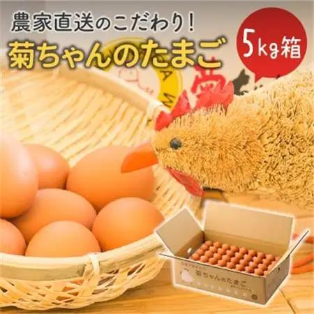 菊ちゃんのたまご5kg箱【配送不可地域：離島】【1185768】