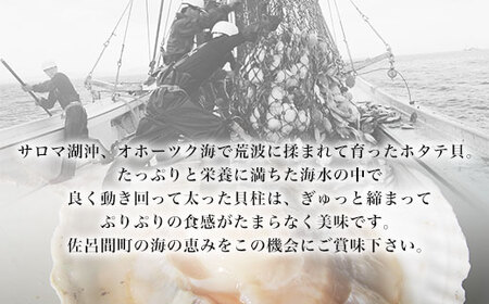 オホーツク産 『活』 ほたて 3kg（16～22枚） SRMN001