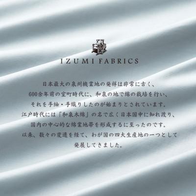 ふるさと納税 和泉市 (50×150cm)ポーランド産マザーグースダウンピロー (羽毛枕)&ピローケース:フォグブルー |  | 03