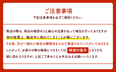 卵 朝採り あかね たまご 90個(Mサイズ)卵 10個破損補償含む 鶏卵 赤鶏の卵