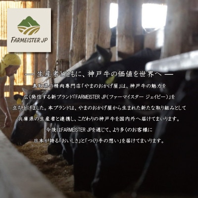 神戸牛 焼肉 カルビ 600g【配送不可地域：離島】