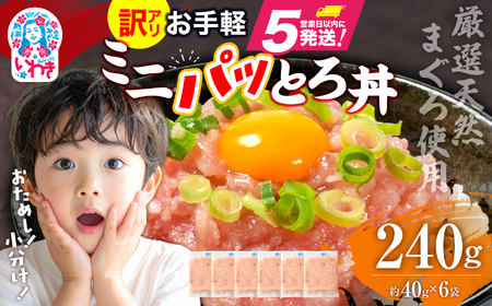 【ネギトロ】ミニパッとろ丼240g(約40g×12袋) ねぎとろ 【いわき市】