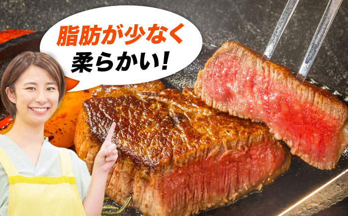 【全12回定期便】おおいた豊後牛 ヒレ ステーキ 450g(150g×3枚) 日田市 / 株式会社MEAT PLUS　牛 うし 黒毛和牛 和牛 豊後牛 [AREI121] 【全12回定期便】