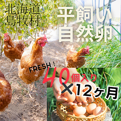 
                  ＜毎月定期便＞ハッピープレイスの自然卵＜ハッピーたまご＞40個入り(全12回)【4012332】
                
