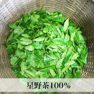 星野村の八女茶 高級煎茶　桃山 80g(宇美町)