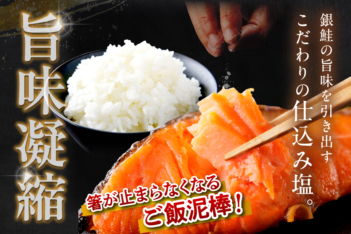 お手軽！絶品！厚切り　塩銀鮭切身 約1kg（プロトン凍結　訳あり　不揃い）　定期便　隔月×3回 ふるさと納税 鮭 しゃけ 銀鮭 切り身 定期便 サーモン ふるさと納税 シャケ