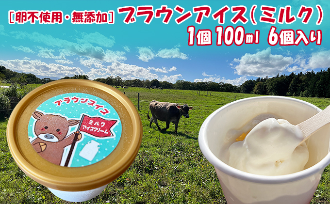 【卵不使用・無添加】ブラウンアイス（100ml）6個セット 北海道 南富良野町 アイス アイスクリーム デザート 無添加 バニラアイス バニラ お菓子 スイーツ ひんやり おやつ 夏 なめらか 濃厚 コク クリーミー しっかりした甘さ 