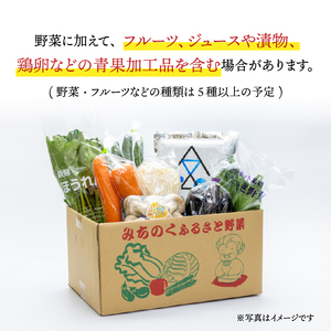 江刺金札米ひとめぼれ 無洗パック米と岩手県産野菜セット【翌月発送】離島配送不可 [AQ032]