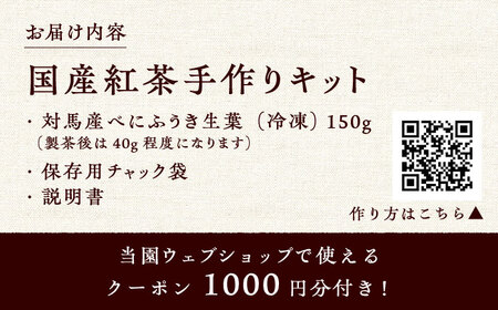 おうちで 紅茶 づくり 体験キット（Webショップで使えるクーポン付）《対馬市》【つしま大石農園】 国産 ティー[WBE010] コダワリ紅茶 こだわり紅茶 おすすめ紅茶 おススメ紅茶 人気紅茶 定番
