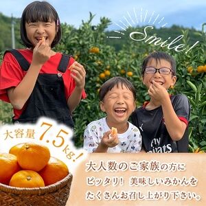 三代目がつくる愛媛みかん 7.5kg【訳あり(家庭用)】【C31-17】【1120067】