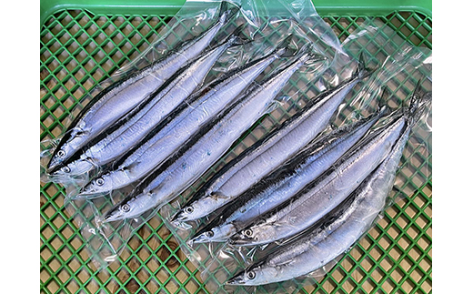 釧路産・急速冷凍 【特大】生サンマ（4尾入×2） 生サンマ さんま F4F-0341