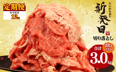 【12回定期便 】 牛肉 切り落とし 新発田牛 計3kg 切り落とし enomoto025