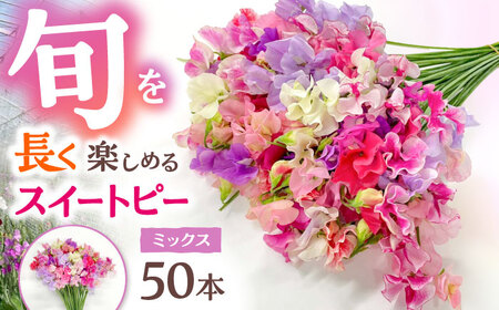【R7年度12月以降発送】スイートピー 花束 50本（ミックス） / お花 生花 ギフト 贈り物 プレゼント 九州 [IBW001]