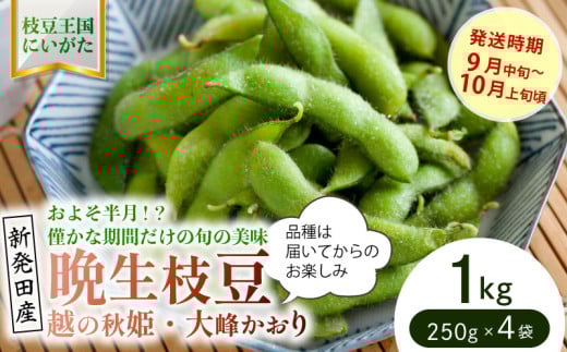 貴重な枝豆！ 晩生（おくて）枝豆 1kg 【 数量限定 1.0kg 枝豆 茶豆 新潟産 つまみ 晩生 株式会社せいだ 新潟県 新発田市 株式会社せいだ 新潟県 新発田市 seida024 】