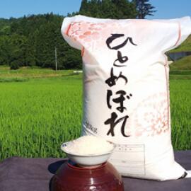 【ふるさと納税】令和6年産 大自然で育てた ひとめぼれ 5kg 米 白米 精米 ご飯 ごはん コメ こめ 岩手県 一関市