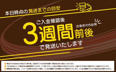 FM032_【ご寄附より3週間以内に発送】佐賀牛入り熟成生ハンバーグ　20個＋２個【期間限定】