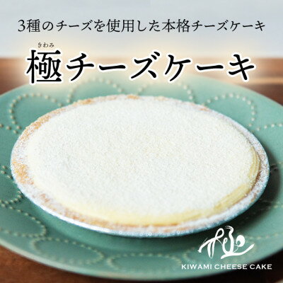 【ふるさと納税】極チーズケーキ_ チーズケーキ ケーキ チーズ スイーツ 菓子 お菓子 焼き菓子 デザート クリームチーズ パルミジャーノ・レッジャーノ グリエールチーズ 濃厚 贈答 ギフト プレゼント 冷凍 静岡県 送料無料 【配送不可地域：離島】【1572696】