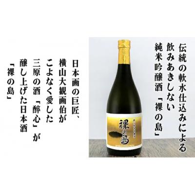 ふるさと納税 三原市 醉心 限定酒「裸の島」「宿禰島」ギフトセット(各720ml)[020-003] |  | 01