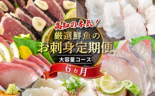 定期便 6ヶ月 6回 小島水産がお届けする！美味しいお刺身コース(鮮魚下処理済)  刺身 定期便 鮮魚 下処理済み ( お楽しみ 定期便 半年 お刺し身 かつお タタキ カツオ 鰹 鯛 たい タイ 鰤 ぶり ブリ 勘八 カンパチ かんぱち シマアジ 縞鯵 しまあじ 高級魚 海鮮 魚介 頒布会 ) KS28000-3x