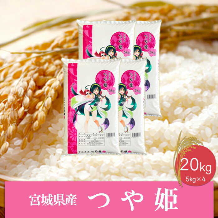 【ふるさと納税】《精米》令和6年産 宮城県産つや姫20kg