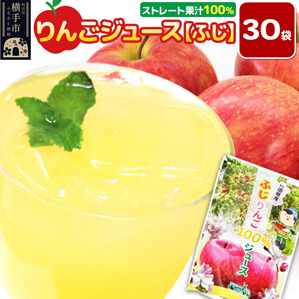 【ふるさと納税】りんごジュース（ふじ）30袋