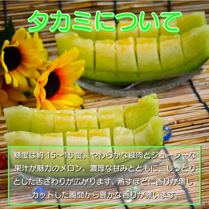 メロン 赤肉 タカミ 1玉 赤肉メロン メロン メロン メロン メロン