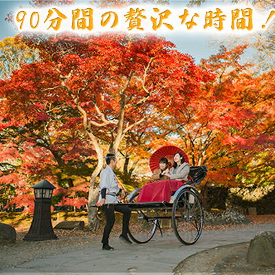 【ふるさと納税】《懐古園と城下町を人力車で周ろう♪》人力車で90分間周遊プラン 体験チケット 観光