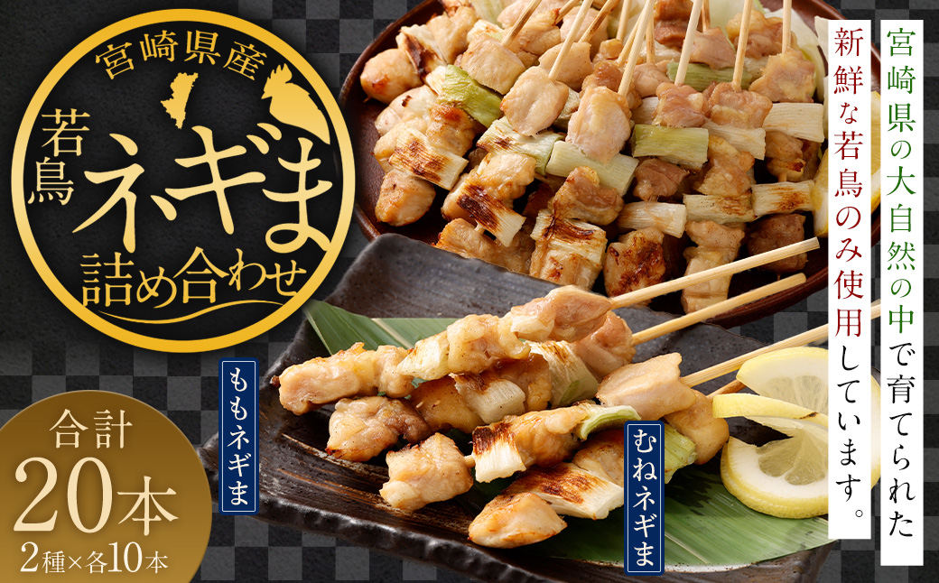 ＜宮崎県産若鳥ネギま詰め合わせ 20本＞翌月末迄に順次出荷 10本×2種 焼き鳥 焼鳥 串焼き もも肉 モモ肉 むね肉 ネギま 冷凍 宮崎県 高鍋町