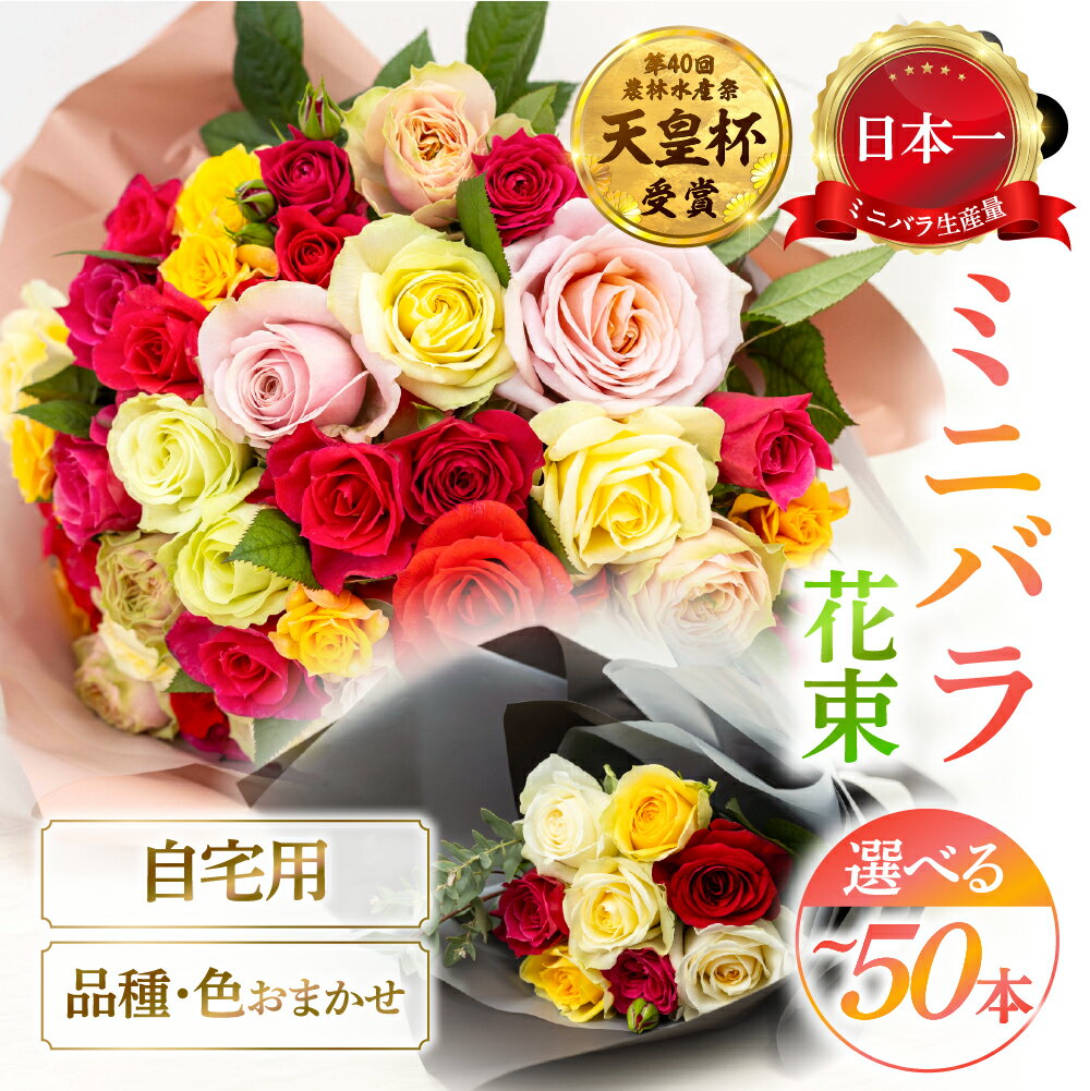 【ふるさと納税】選べる 産地直送 ミニバラ 花束 50本 お試し 8本 [申込から3か月以内 お届け] カットローズ 品種 色 おまかせ 訳あり 訳アリ 四季咲き 花 ガーデニング 生産量 日本一 ※沖縄 離島配送不可 薔薇 セントラルローズ [mt2085] 10000円 1万 5000円 5千円