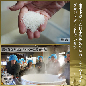 純米大吟醸『鸛』720ml×2本セット 数量限定 酒 日本酒 お酒 芸人 シャンプーハット てつじ 井上よしお 純米大吟醸 限定 晩酌 京都 綾部