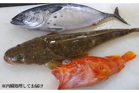 旬の地魚セット2kg（ウロコ・エラ・内臓処理済）鮮魚 魚介 刺身 五島市 / 五島FF [PBJ009]